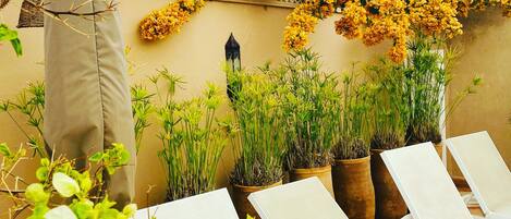 A terrace with white lounge chairs, potted plants, and yellow flowers against a wall.