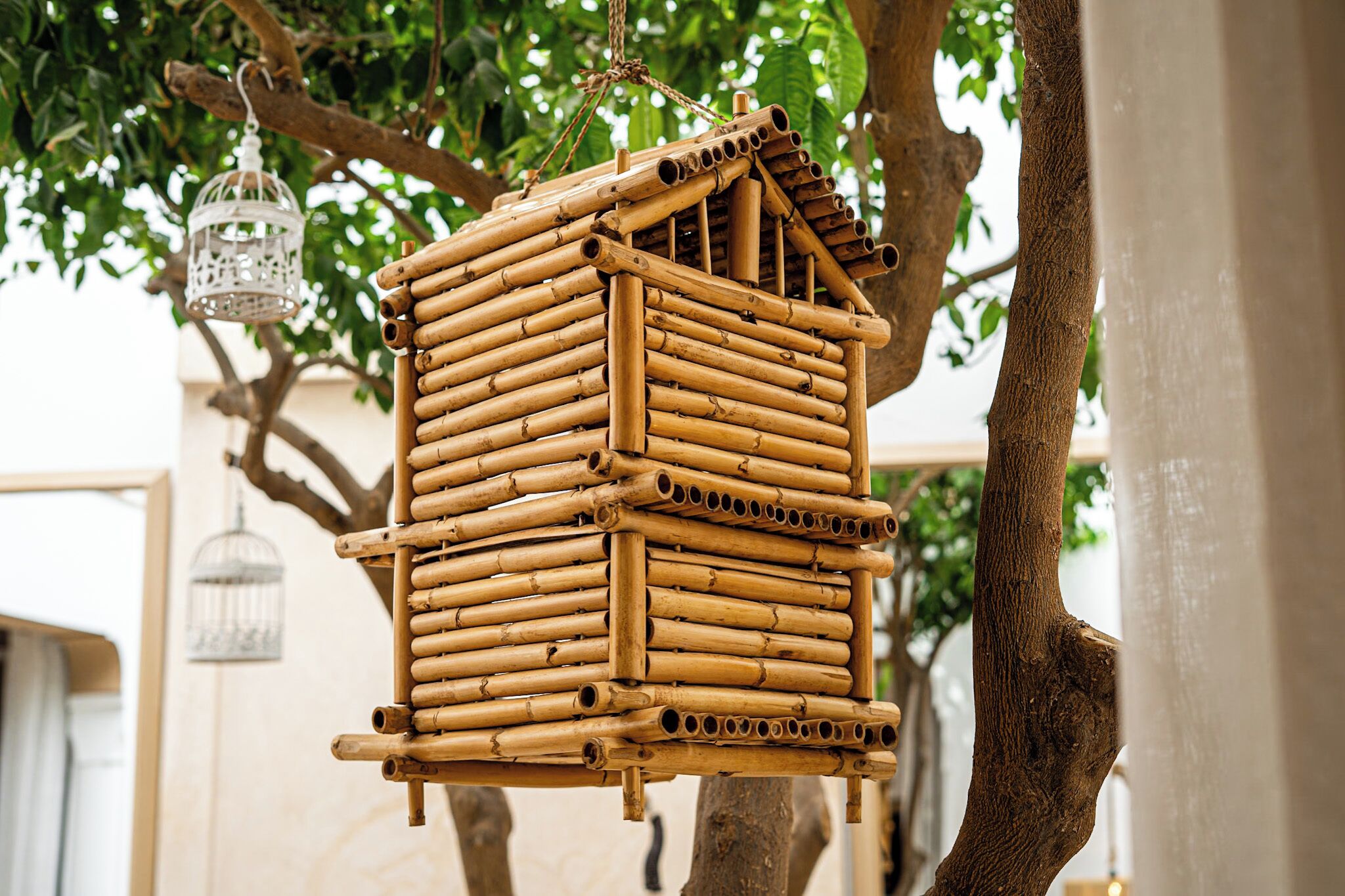 Photo - Riad Les Orangers D'alilia