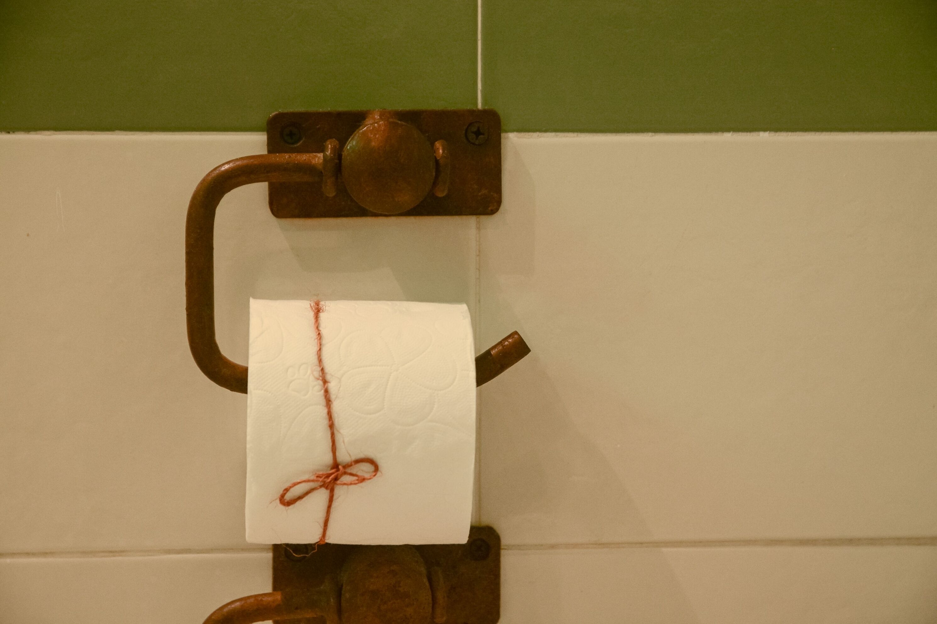 A toilet paper holder with a roll of toilet paper attached to it.