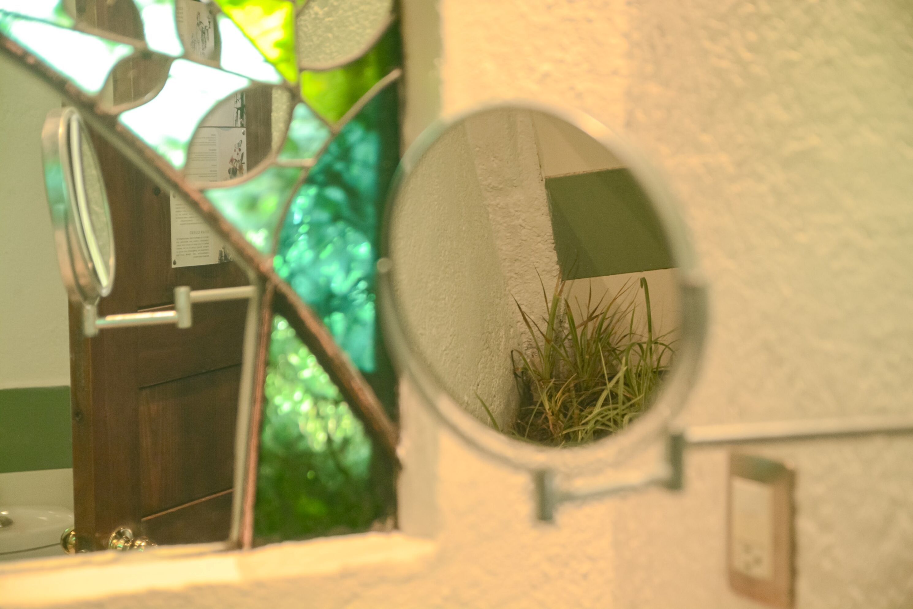 A bathroom with a round mirror, a wooden door, and a green plant.