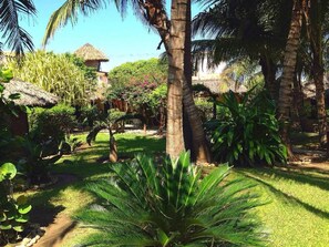 Property grounds - Bambuddha (Acapulco)