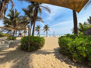 A sandy beach path with palm trees and a clear view of the ocean.
