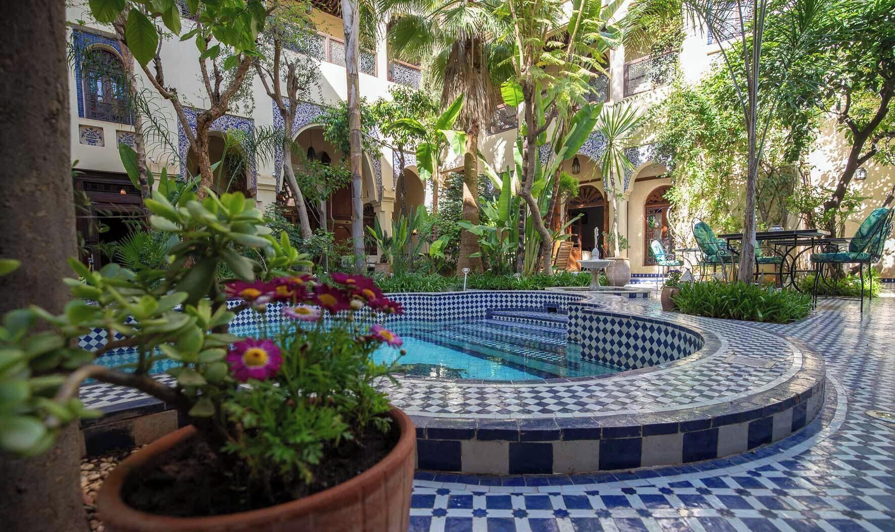 A pool area with a tiled deck, surrounded by lush greenery and a building with blue and white patterned walls.
