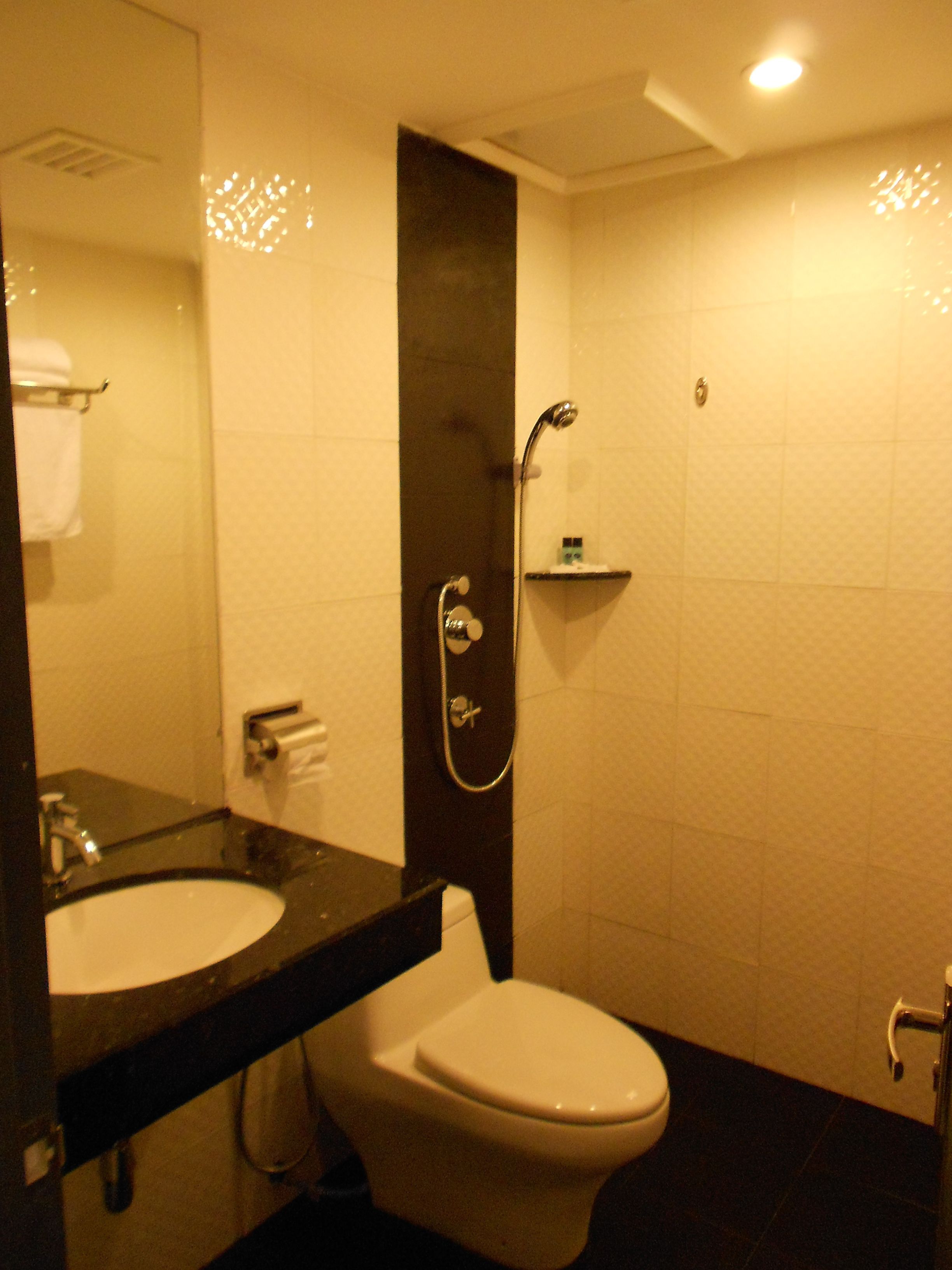 Standard Double Room | Bathroom | Shower, rainfall showerhead, free toiletries, hair dryer