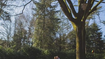 A wedding couple standing under a large tree in a park.