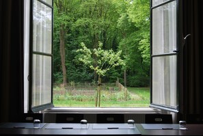 A window with a view of a tree and a fence in a garden. - Bitter en Zoet (Veenhuizen)