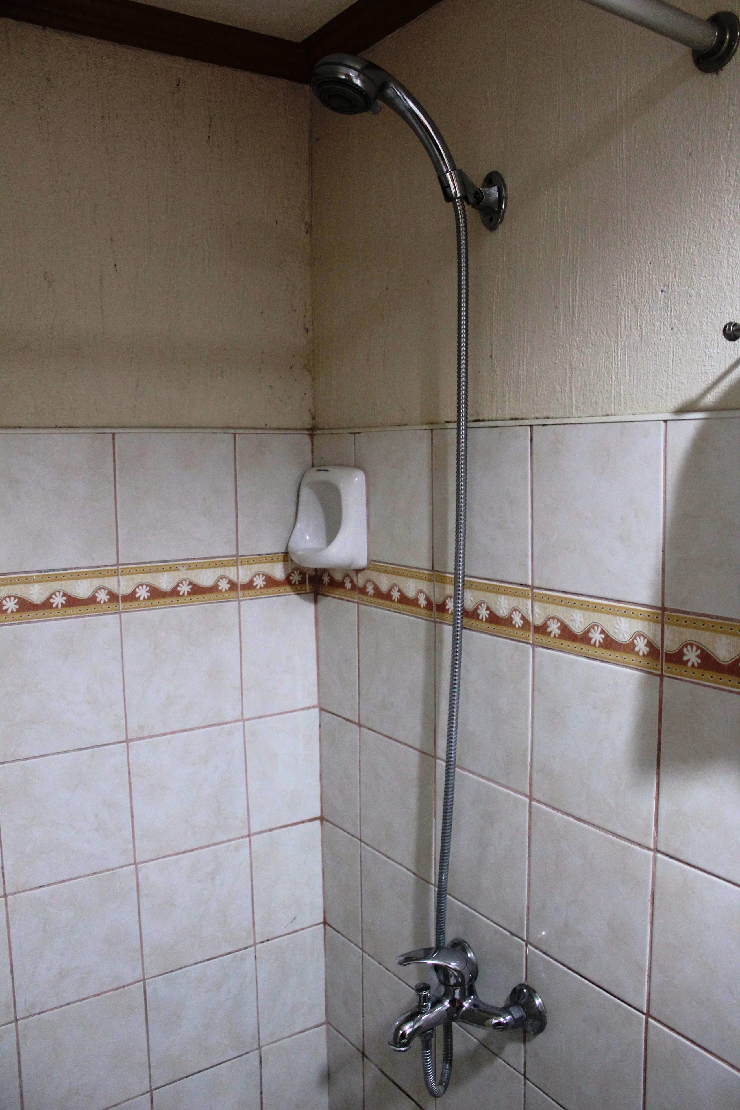Ducha con cabezal de mano y grifo empotrado.