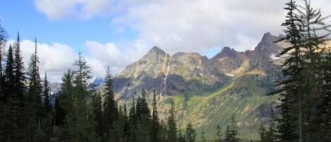Un paisaje montañoso con un bosque denso.