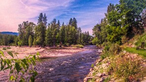 A river flowing through a forested area with trees and rocks along the banks.
