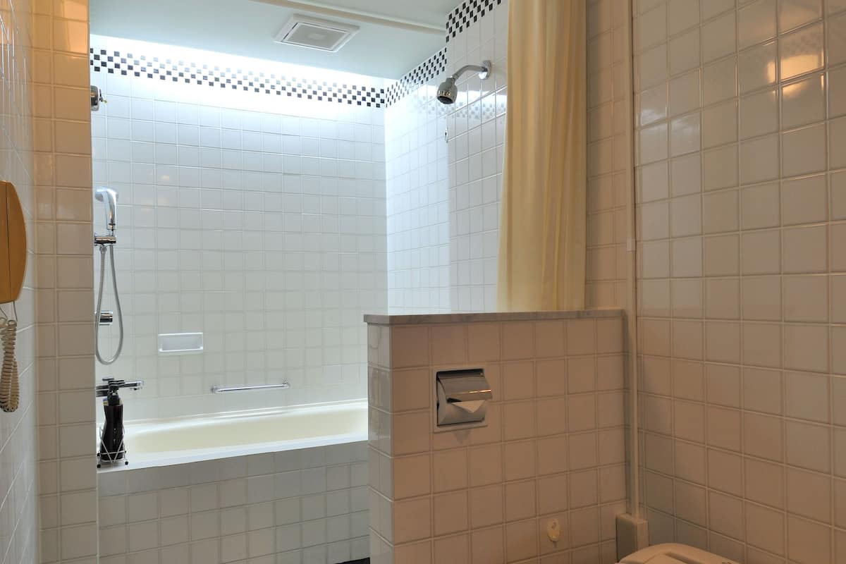 combined shower/bathtub, rainfall showerhead, designer toiletries