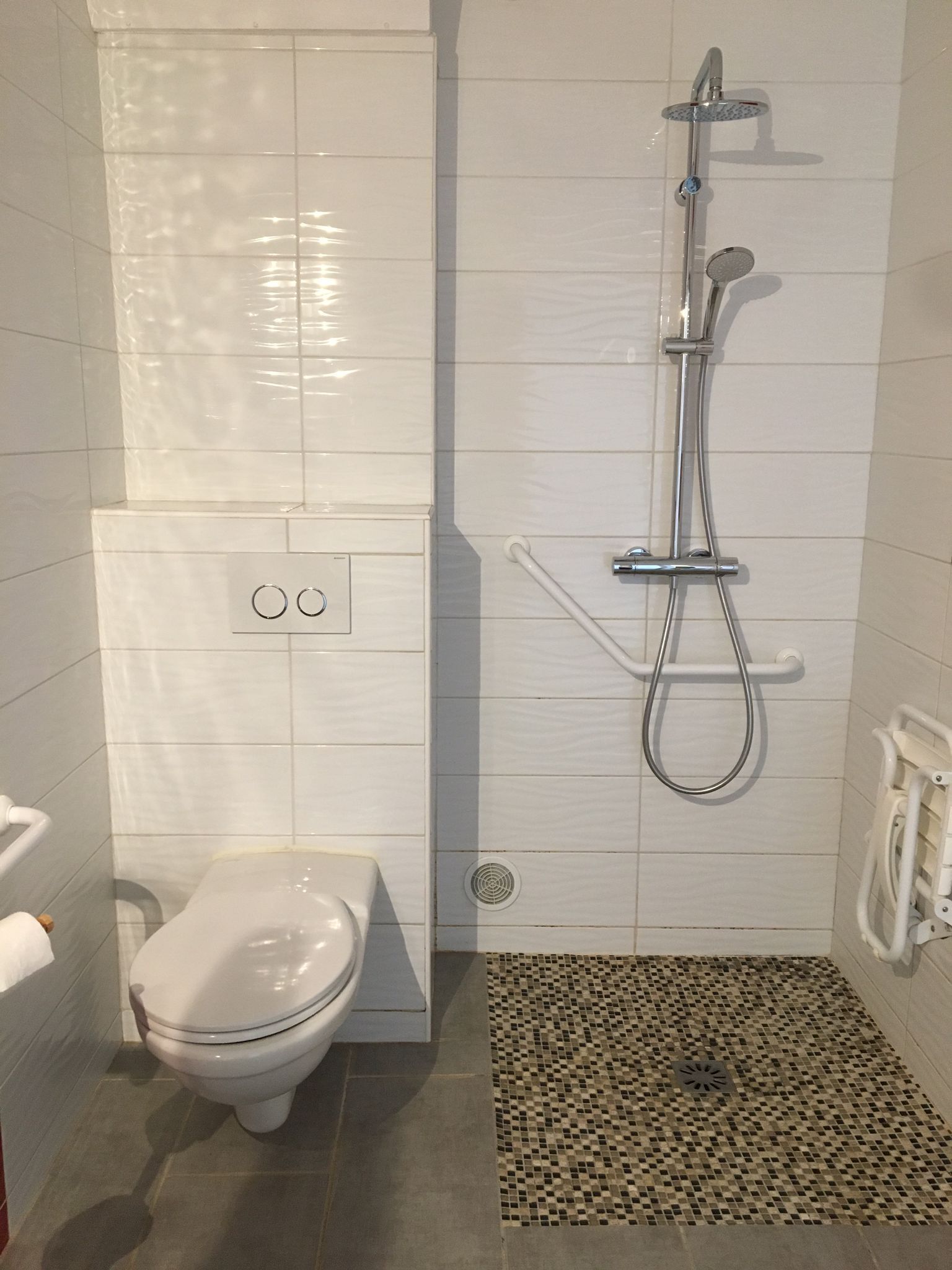 Une salle de bain comprenant des toilettes, une douche avec un pommeau de douche amovible et une petite surface carrelée.