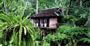 Deluxe Room | View from room - Fern Paradise (San Sai)