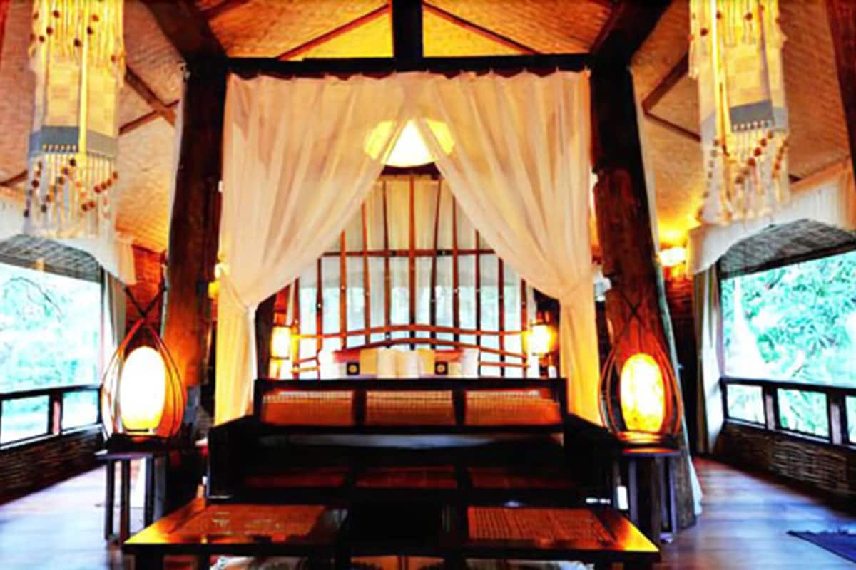 A traditional Japanese-style room with tatami flooring, a low wooden bed with a canopy, and large windows with a view of greenery.