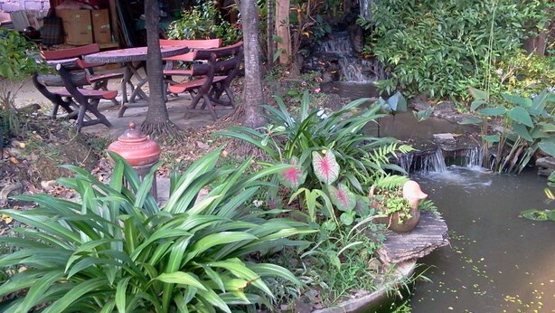 A garden with a pond, benches, and a waterfall. - Naruncha Green House (Chiang Mai)