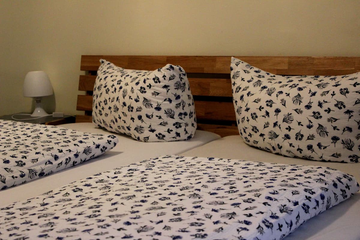 Economy Double Room, Shared Bathroom | Pillowtop beds, minibar, blackout drapes, WiFi (free)