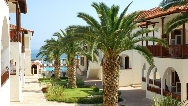 Un patio con palmeras, una piscina y vista al mar.