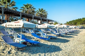 على الشاطئ، كراسي للتشمس، مظلات الشاطئ، مناشف للشاطئ