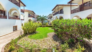 Un patio con edificios blancos, una palmera y un jardín con rocas y plantas.