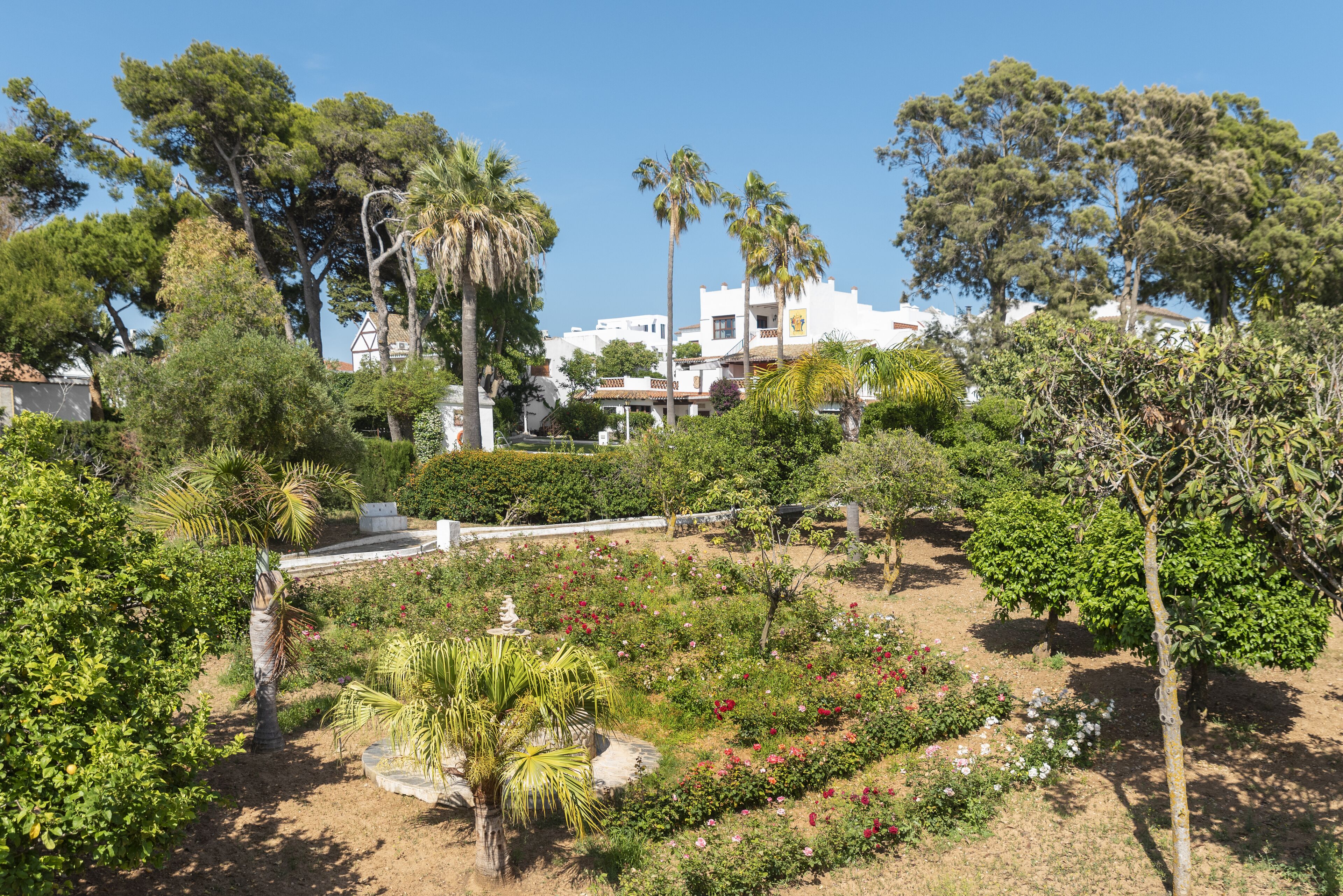 A garden with various plants and trees, a pathway, and white buildings in the background.