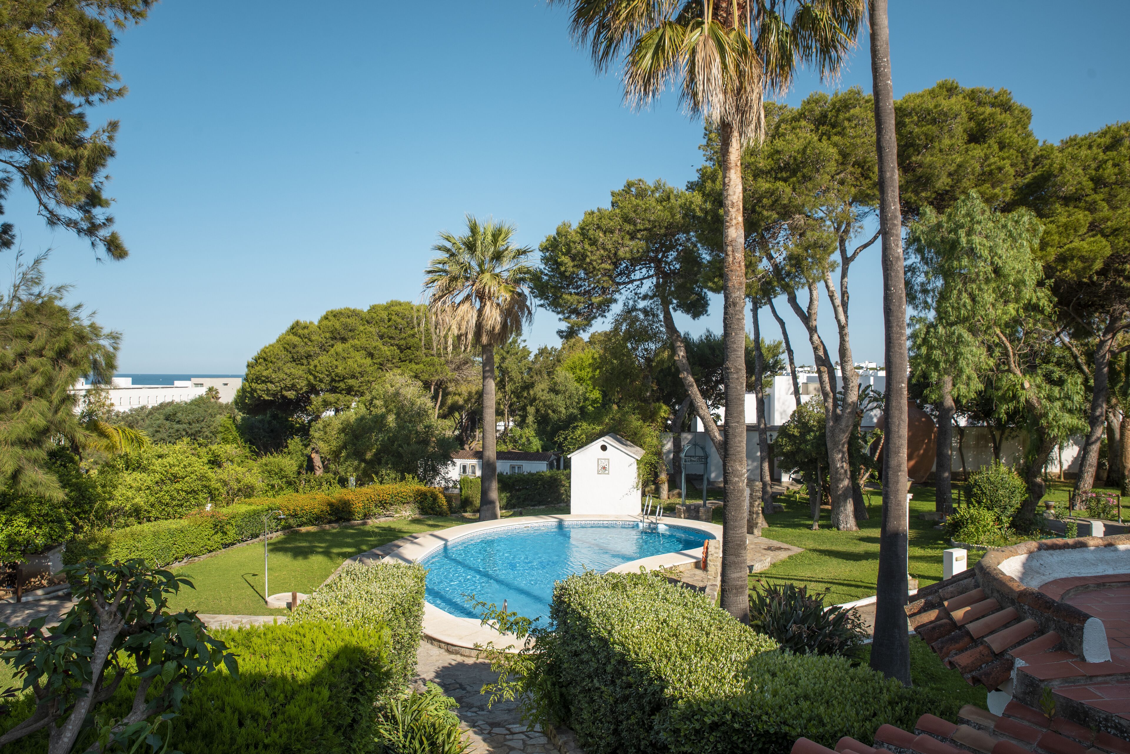 A swimming pool surrounded by lush greenery and palm trees, with a clear view of the ocean in the background.