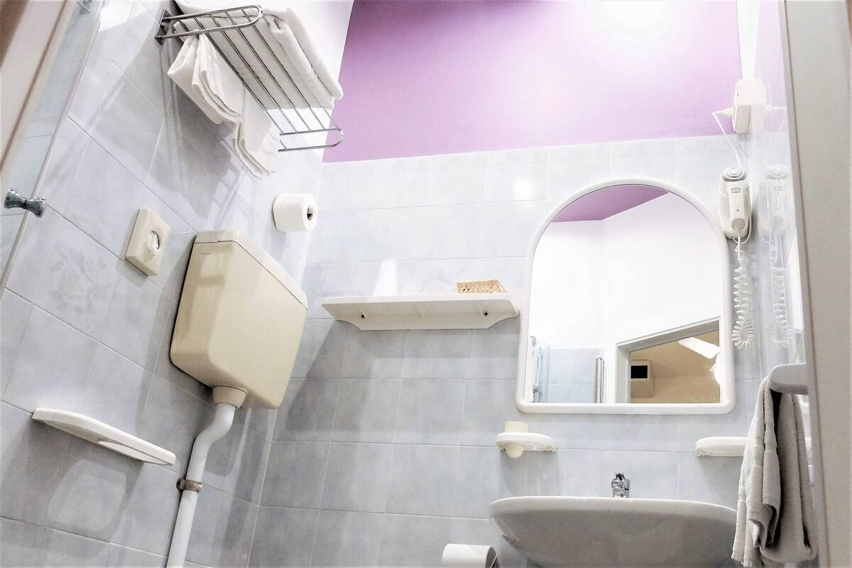 shower, hair dryer, bidet, towels