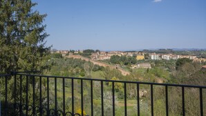 Un balcón con vistas a un pueblo, con edificios y vegetación.