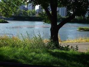 A river with a tree in the foreground and buildings in the background. - River Wynde Executive B&B (Calgary)