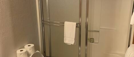A bathroom with a glass-enclosed shower, a toilet, and a sink.