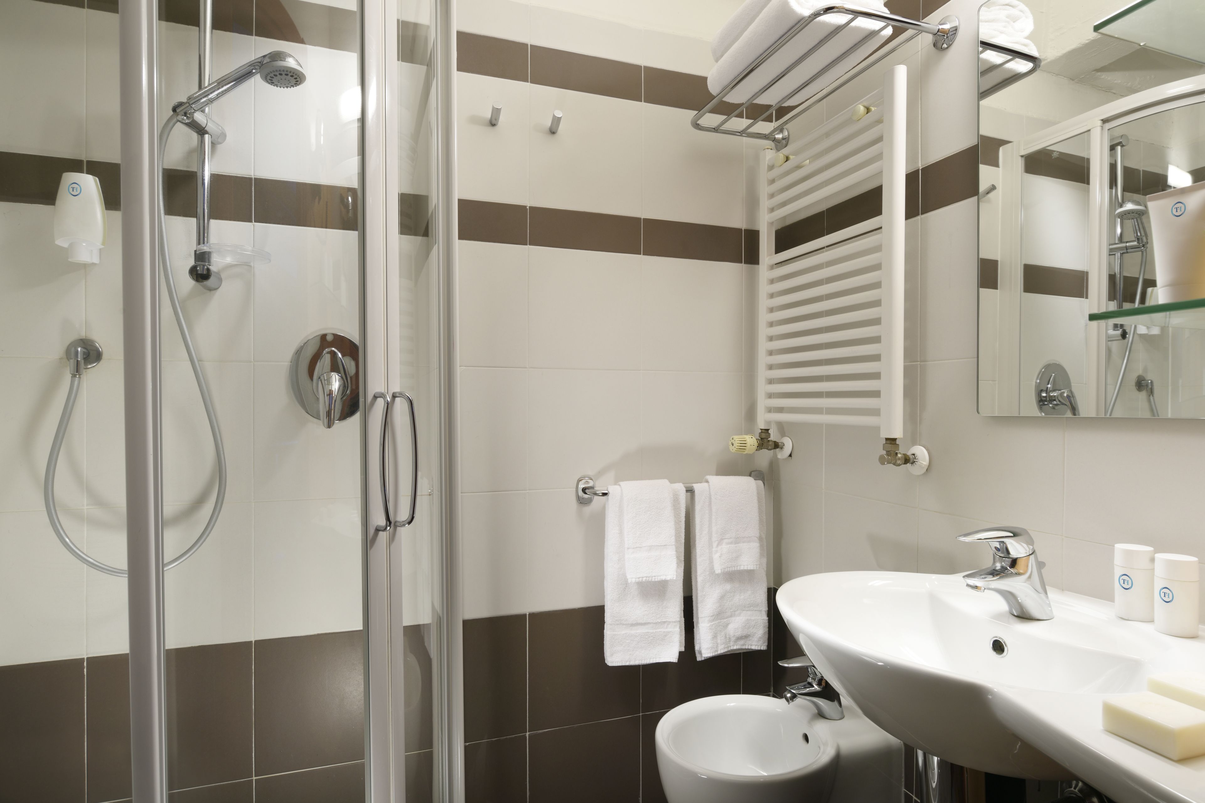 shower, free toiletries, hair dryer, bidet