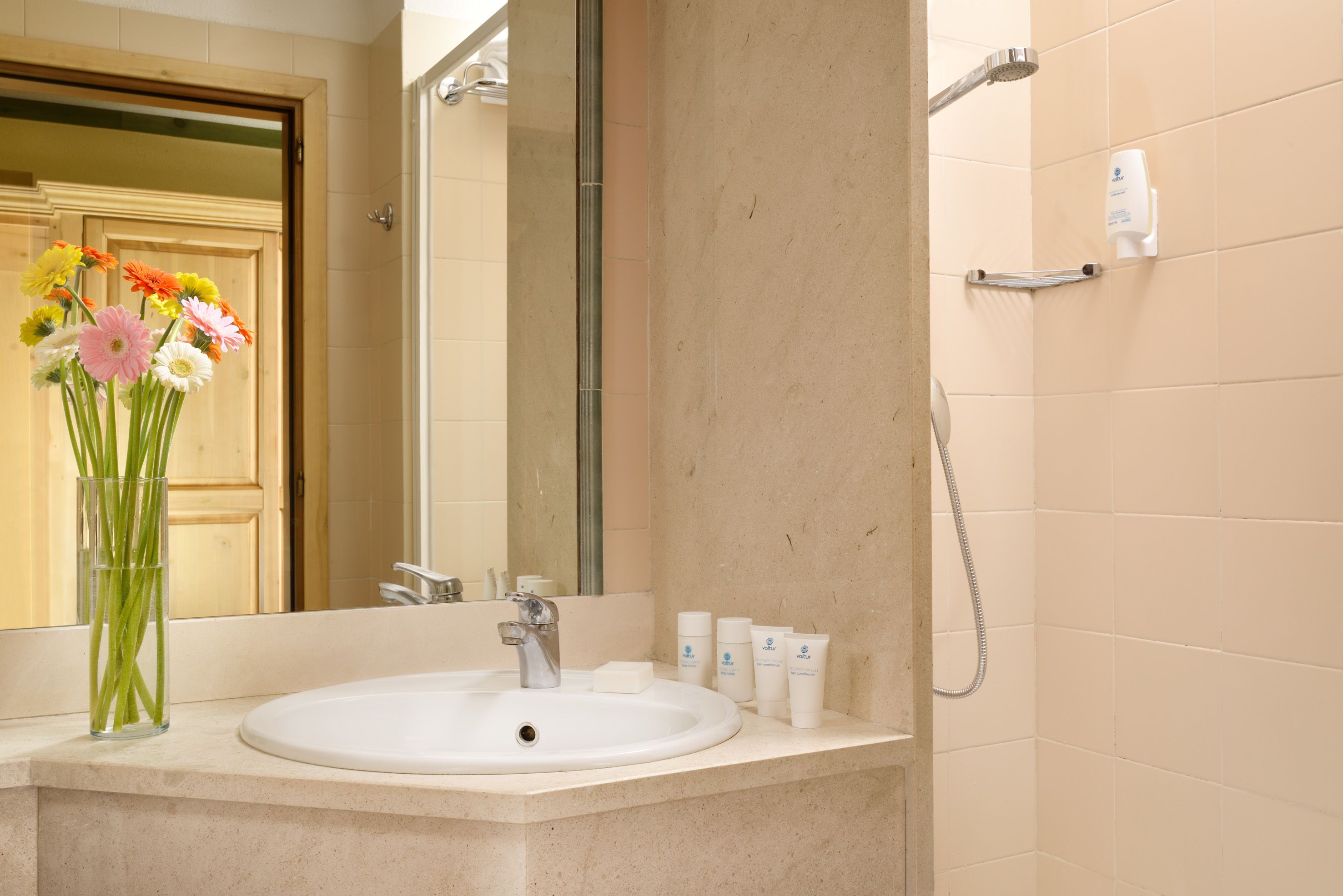 shower, free toiletries, hair dryer, towels