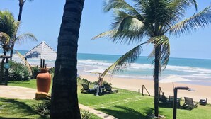 A tropical garden with palm trees, a pathway, and a view of the beach. - Anaui Pousada (Ipojuca)