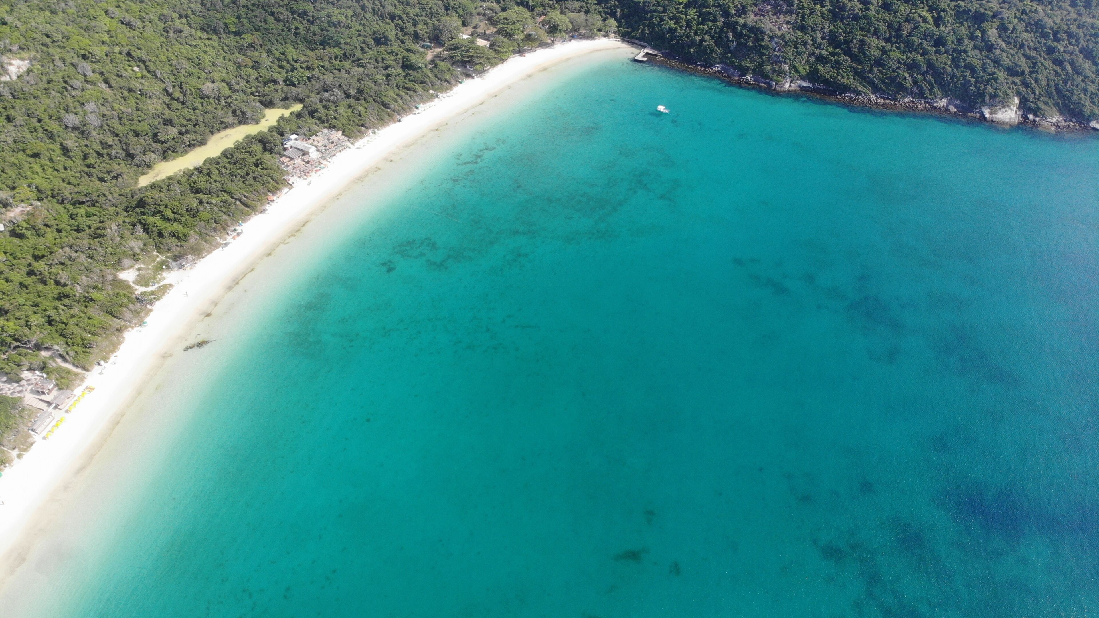 An aerial view of a beach with clear turquoise waters, a sandy shoreline, and dense forested areas.