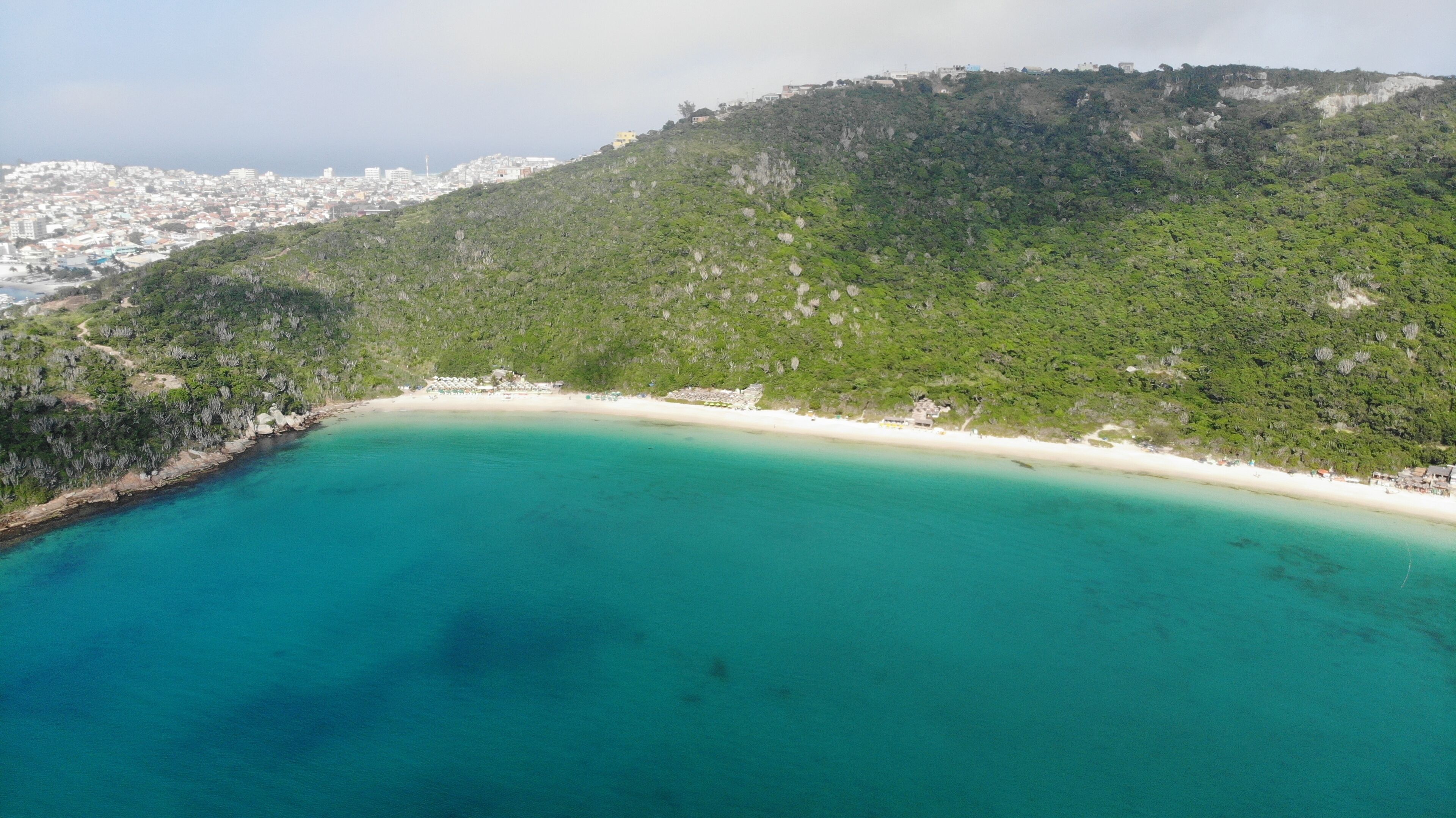 Vista aérea de una zona costera con playa y una ladera con abundante vegetación.
