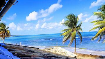 Beach | Scuba diving, beach bar