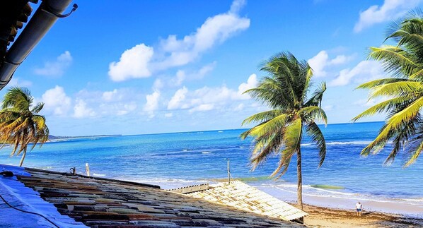 A beach with palm trees, a clear sky, and a view of the ocean.