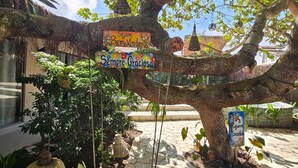 A tree with hanging lanterns and signs in a courtyard. - Pousada Sempre Graciosa (Marechal Deodoro)
