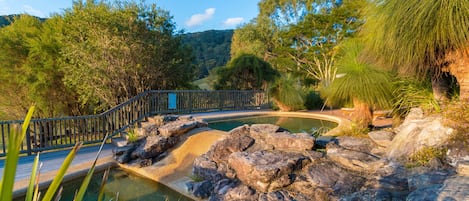 Una piscina al aire libre, sombrillas, sillones reclinables de piscina