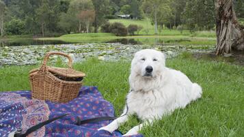 Un chien blanc allongé sur l’herbe, à côté d’un ensemble pour pique-nique comprenant un panier et une couverture.
