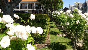 Un jardín con rosas blancas y un edificio con techo rojo al fondo.