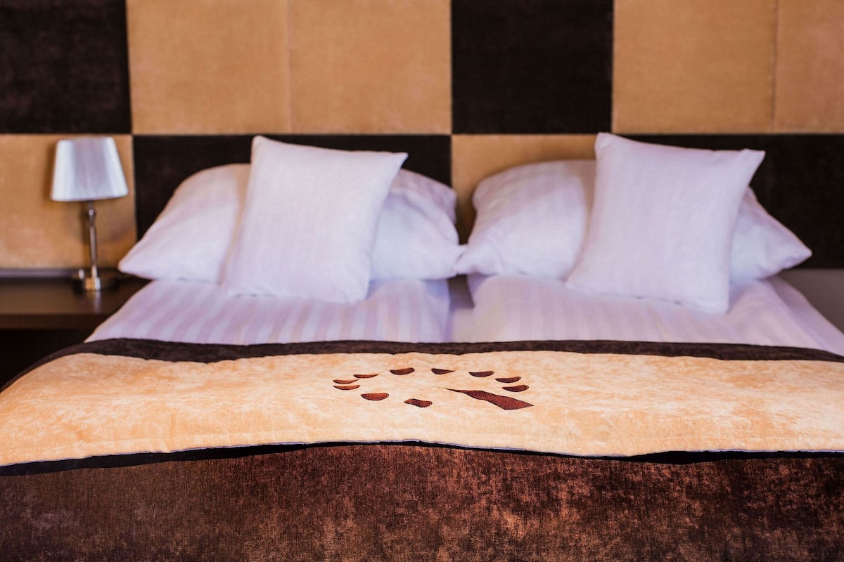 Desk, WiFi (free), bed sheets