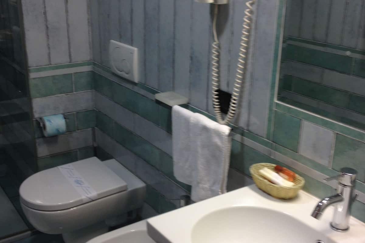 double or twin room | bathroom | shower, rainfall showerhead, free toiletries, hair dryer