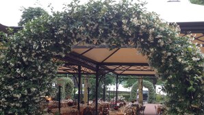 An outdoor dining area with tables covered in yellow tablecloths, surrounded by greenery and a pergola structure. - Hotel Ristorante Vecchia Riva (Varese)