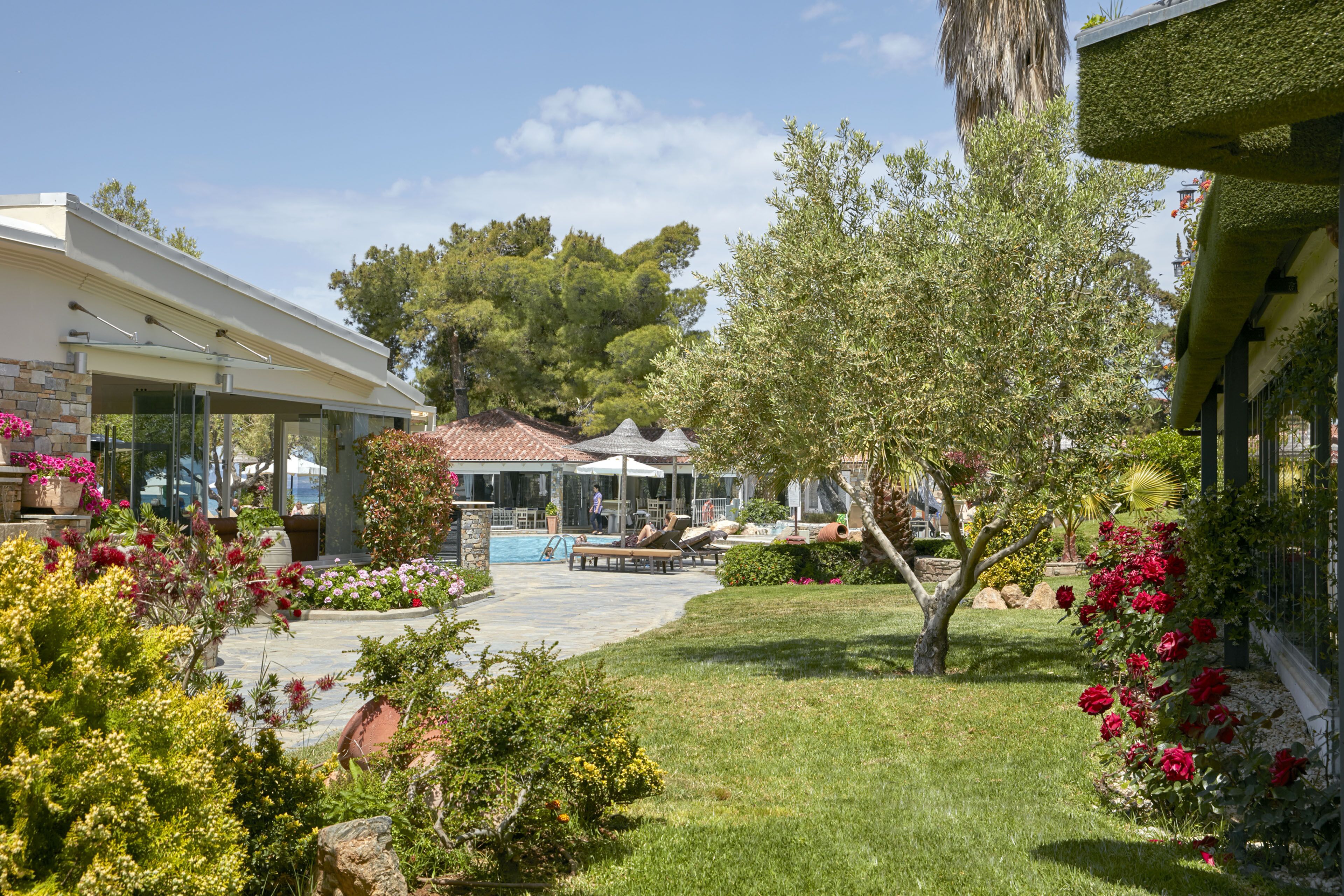 A courtyard with a pool, outdoor seating, and lush greenery.