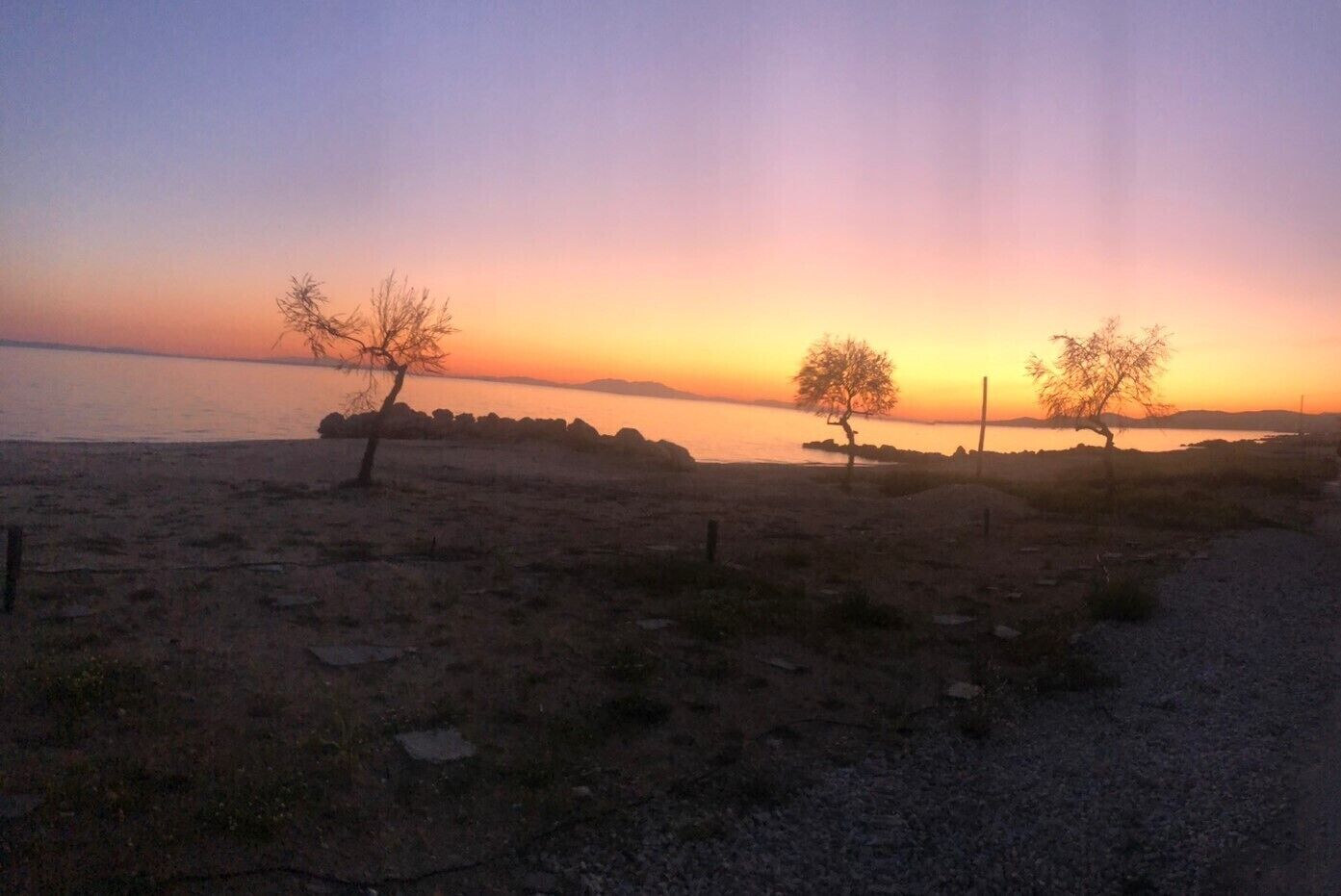 A beach at sunset with two trees and a rocky shoreline.