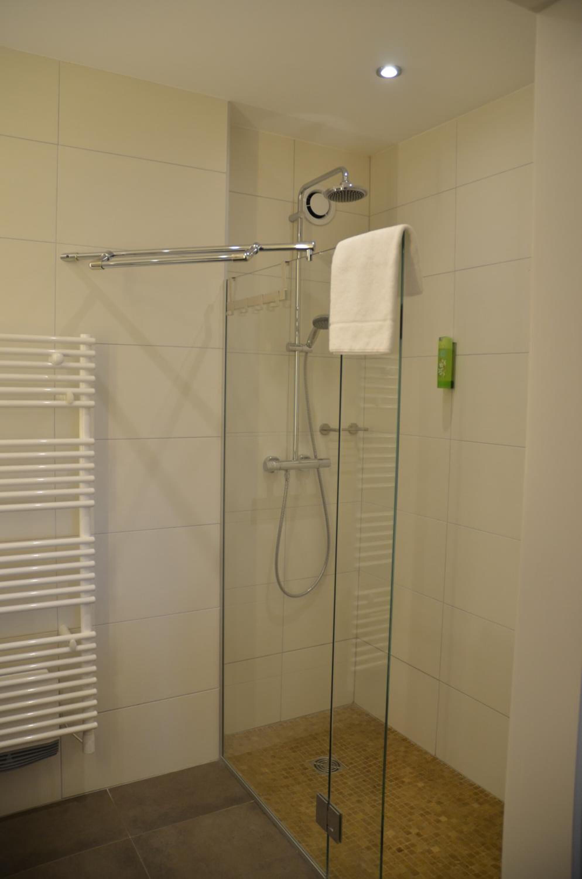 A glass-enclosed shower with a handheld showerhead, a towel rack, and a glass door.