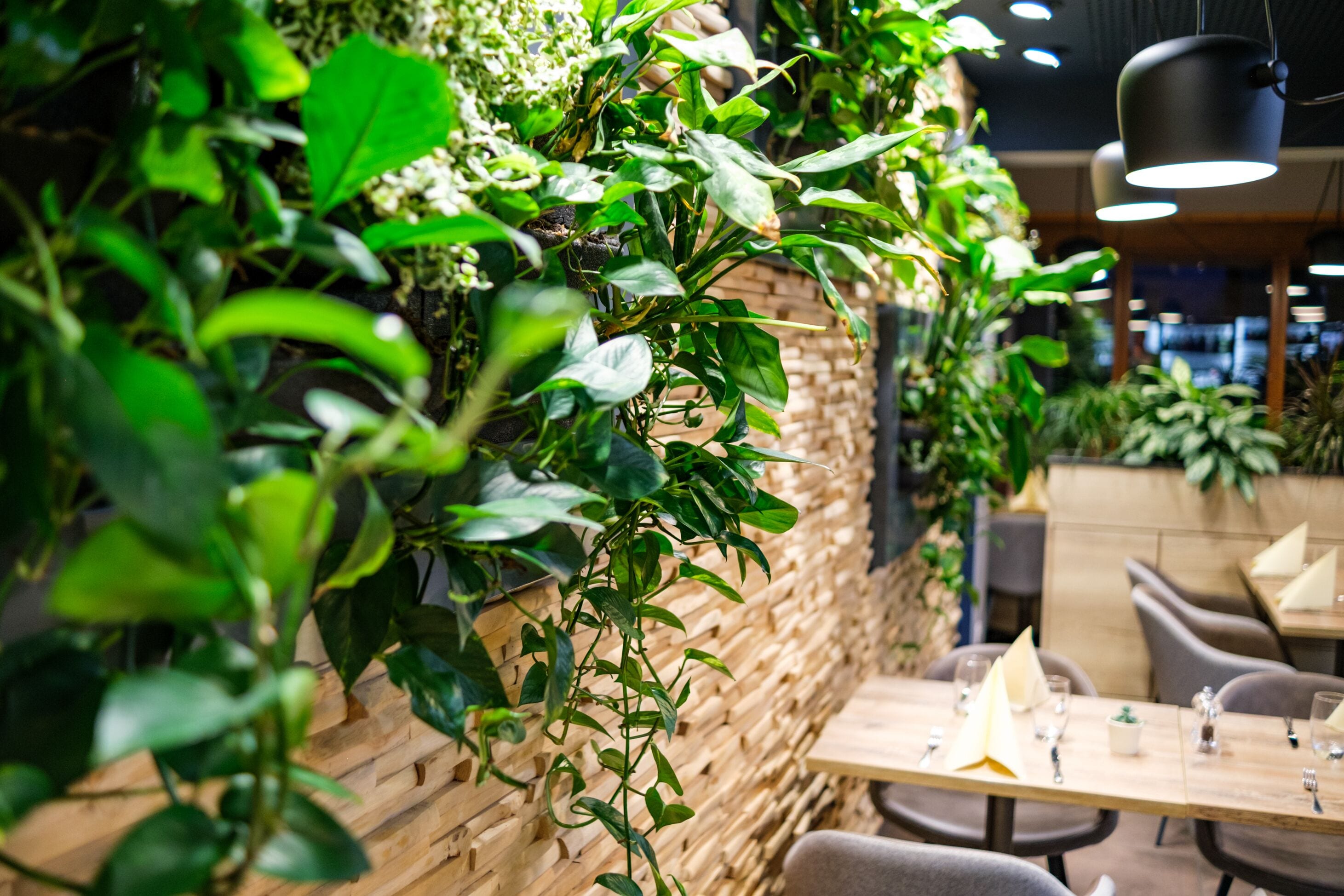 Interno di un ristorante con parete in legno decorata da piante verdi, tavoli e sedie in legno.