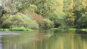 Ein ruhiger Fluss, umgeben von dichtem Grün und Bäumen.