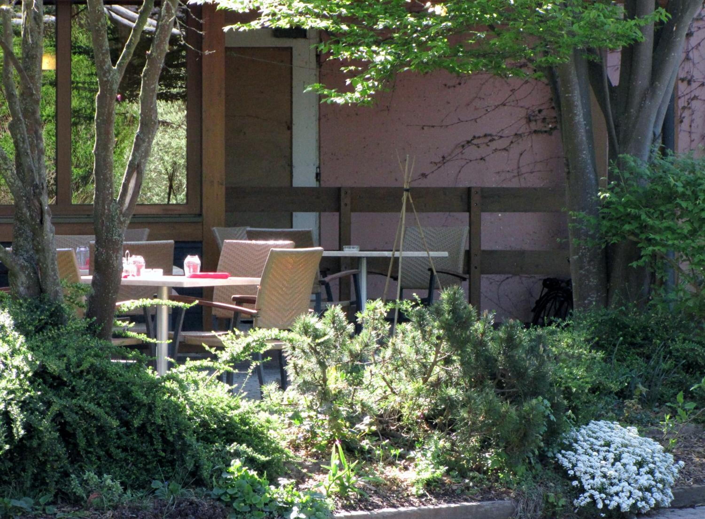 An outdoor seating area with tables and chairs, surrounded by dense greenery and a small white flower bush.