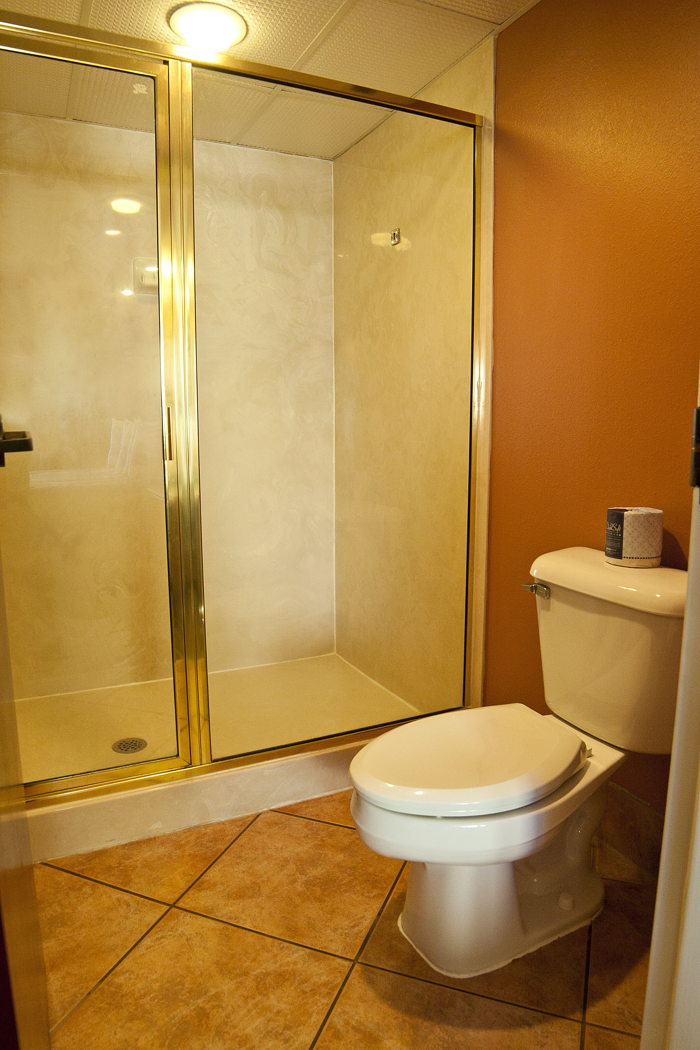 free toiletries, hair dryer, towels, soap