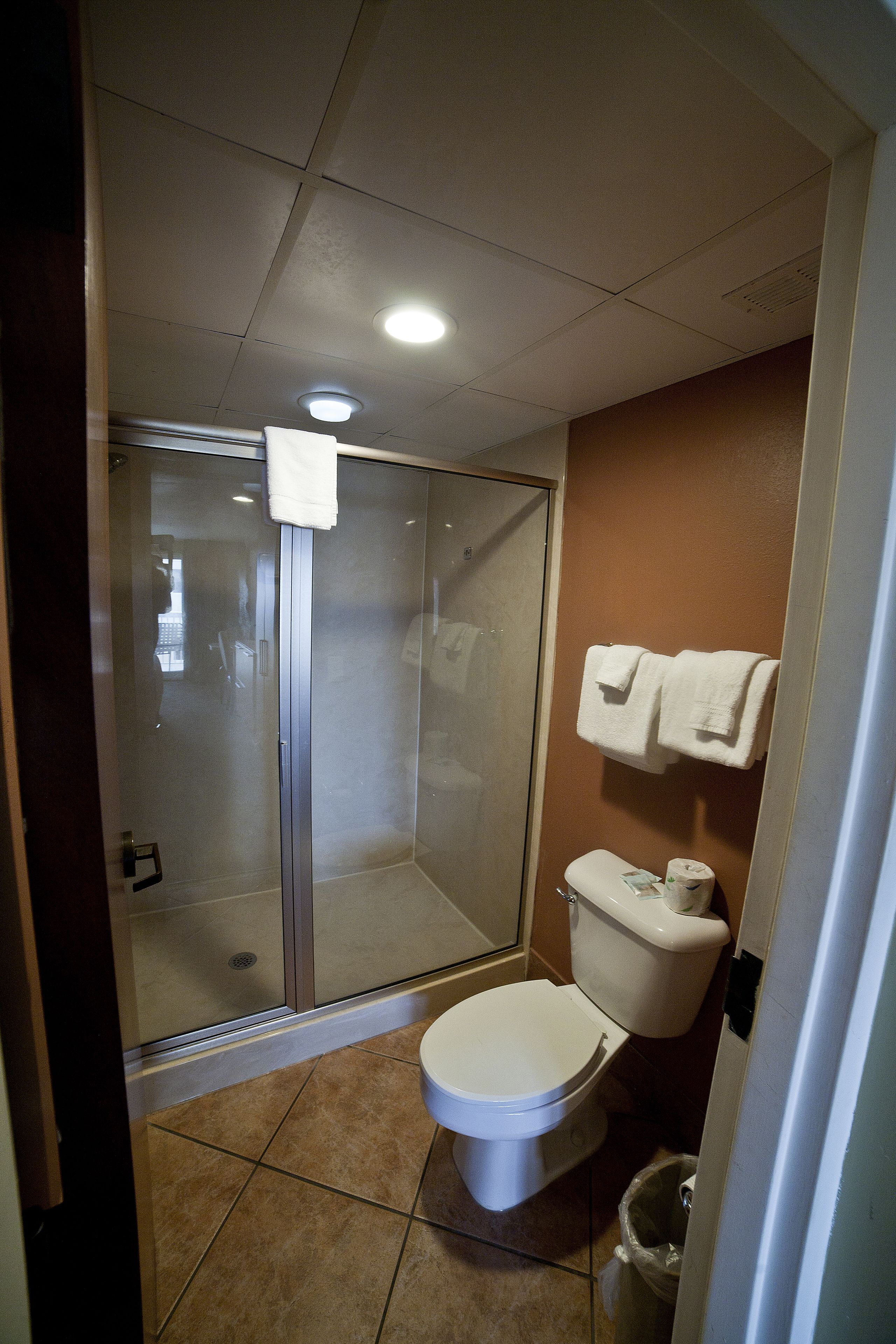 free toiletries, hair dryer, towels, soap